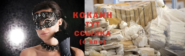кокс Алексин