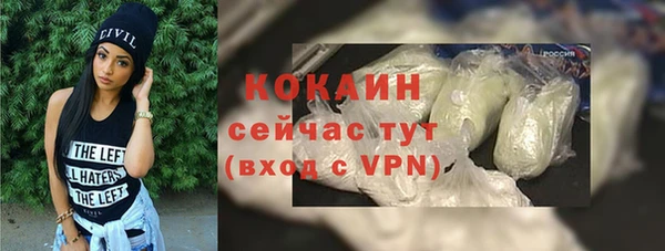 кокс Алексин
