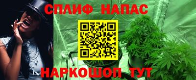 гидра Изобильный