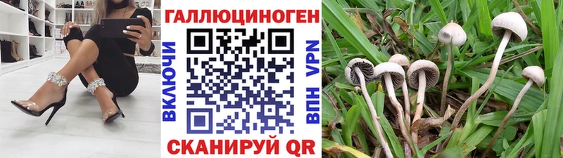 Галлюциногенные грибы MAGIC MUSHROOMS Миасс